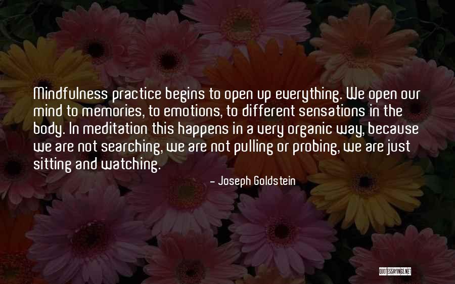 Scythe Curie Quotes By Joseph Goldstein Scythe Curie Quotes By Joseph Goldstein