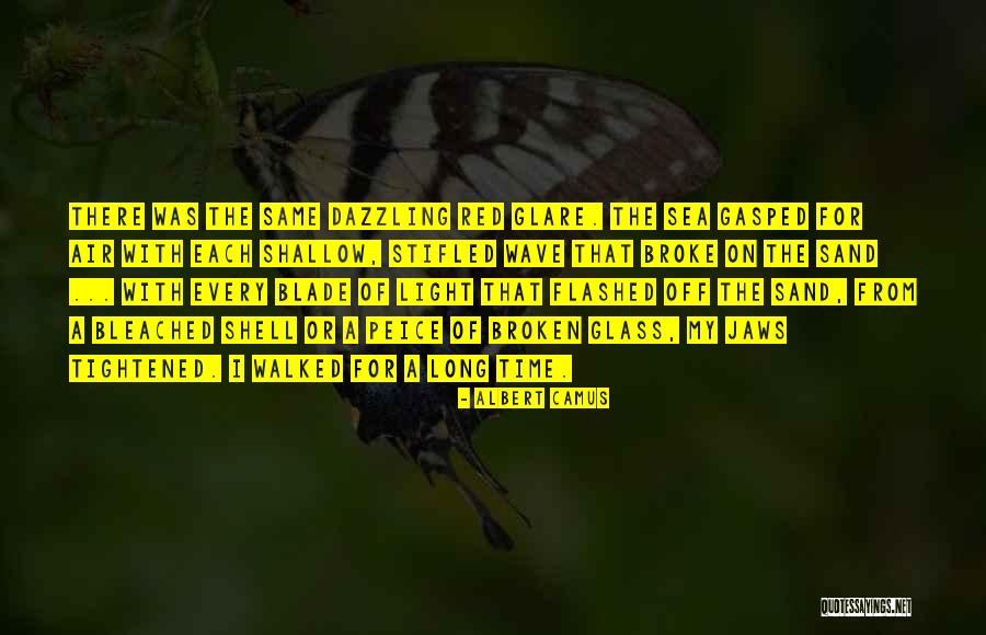 Sea Air Quotes By Albert Camus Sea Air Quotes By Albert Camus