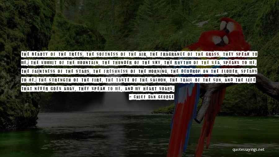 Sea Air Quotes By Chief Dan George Sea Air Quotes By Chief Dan George