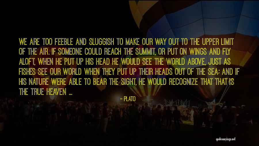 Sea Air Quotes By Plato Sea Air Quotes By Plato
