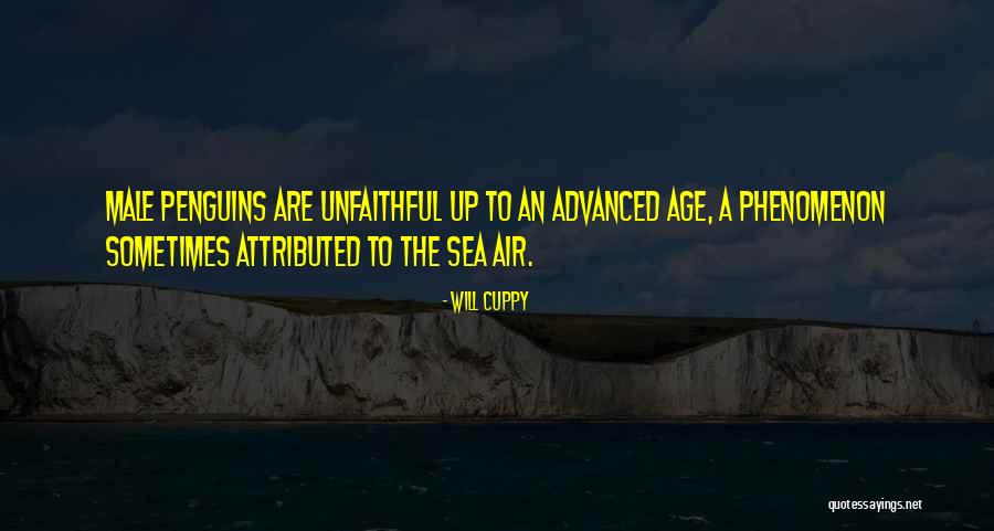 Sea Air Quotes By Will Cuppy Sea Air Quotes By Will Cuppy