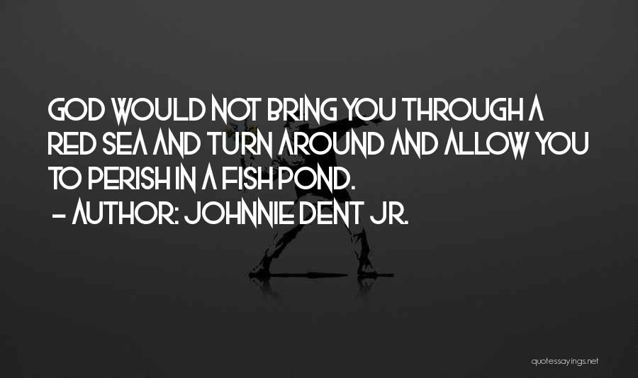 Sea And Fish Quotes By Johnnie Dent Jr.