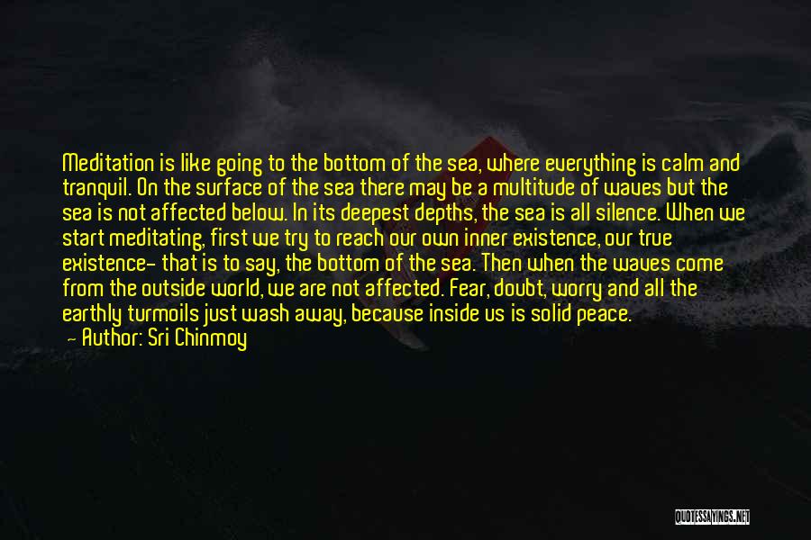 Sea And Fish Quotes By Sri Chinmoy