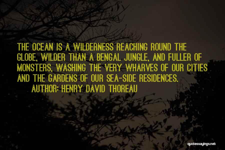 Sea And Ocean Quotes By Henry David Thoreau