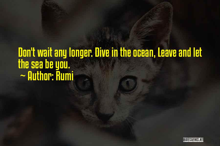 Sea And Ocean Quotes By Rumi