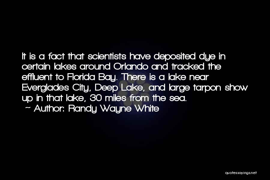 Sea And Quotes By Randy Wayne White