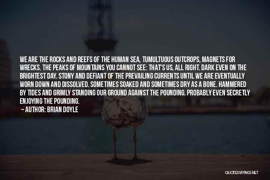 Sea And Rocks Quotes By Brian Doyle