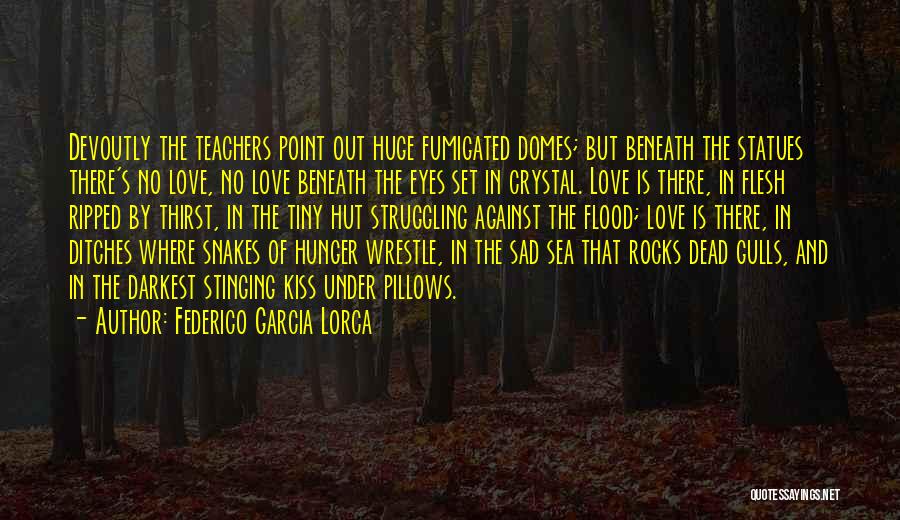 Sea And Rocks Quotes By Federico Garcia Lorca