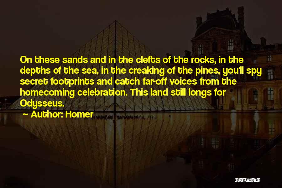 Sea And Rocks Quotes By Homer
