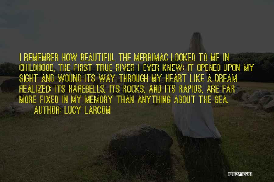 Sea And Rocks Quotes By Lucy Larcom
