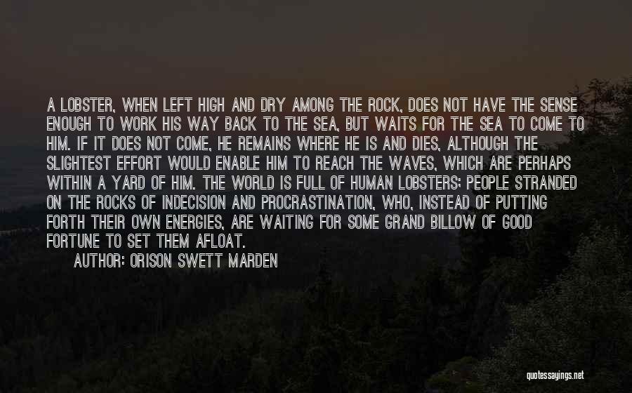 Sea And Rocks Quotes By Orison Swett Marden