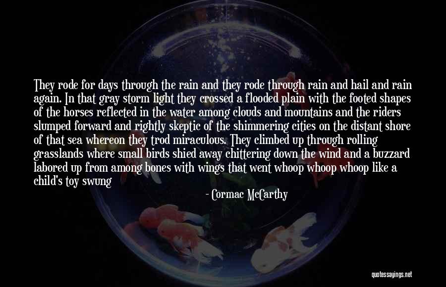 Sea And Storm Quotes By Cormac McCarthy Sea And Storm Quotes By Cormac McCarthy