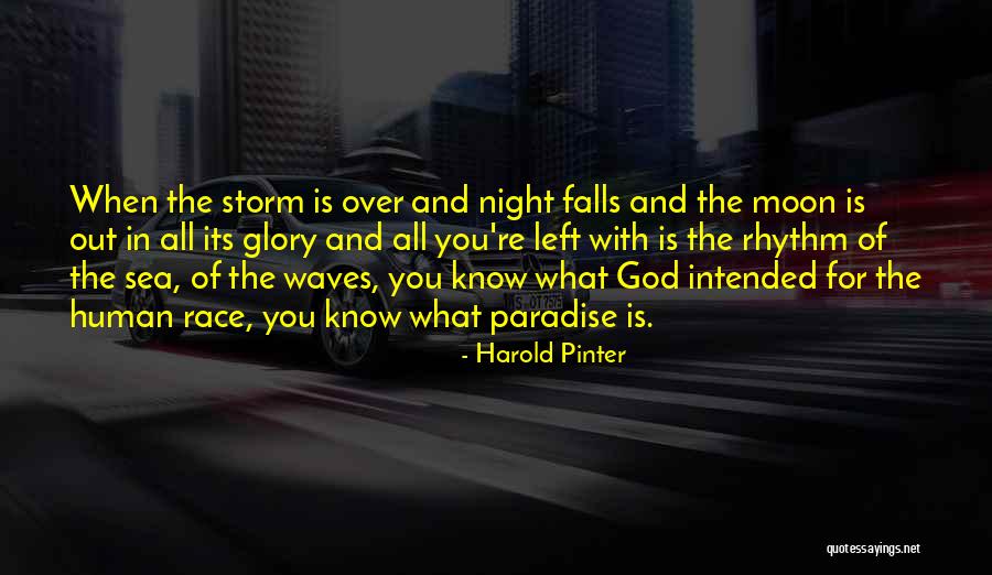 Sea And Storm Quotes By Harold Pinter Sea And Storm Quotes By Harold Pinter