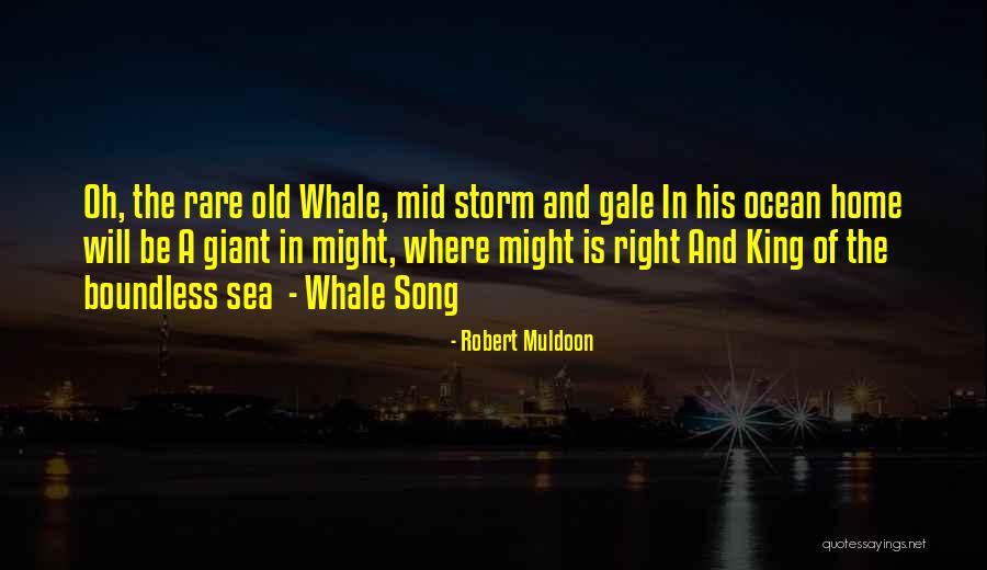 Sea And Storm Quotes By Robert Muldoon