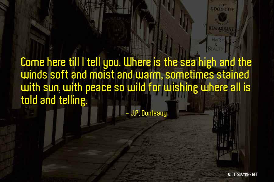 Sea And Sun Quotes By J.P. Donleavy