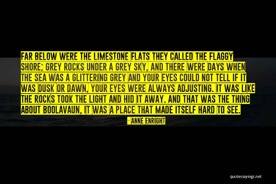 Sea And The Sky Quotes By Anne Enright Sea And The Sky Quotes By Anne Enright