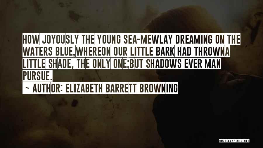 Sea Blue Quotes By Elizabeth Barrett Browning