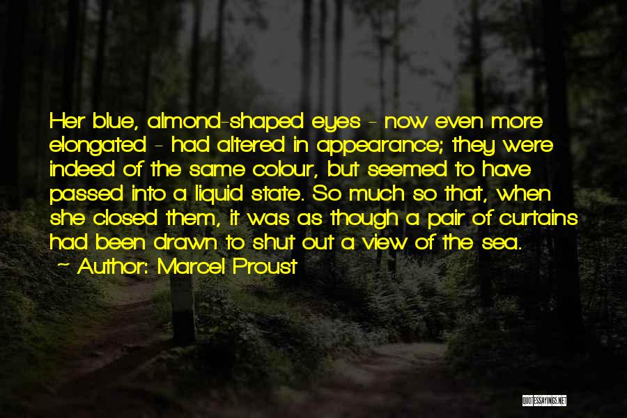 Sea Blue Quotes By Marcel Proust