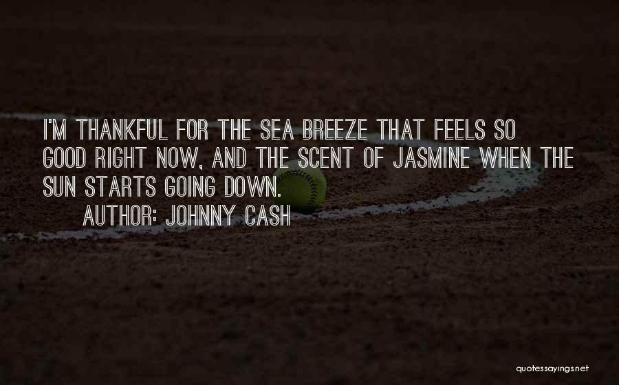 Sea Breeze Quotes By Johnny Cash