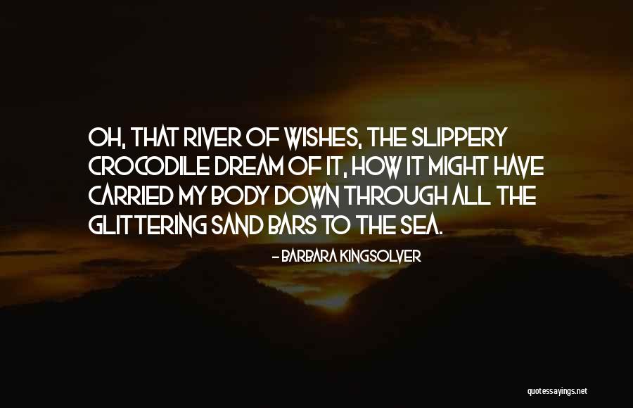 Sea Dream Quotes By Barbara Kingsolver