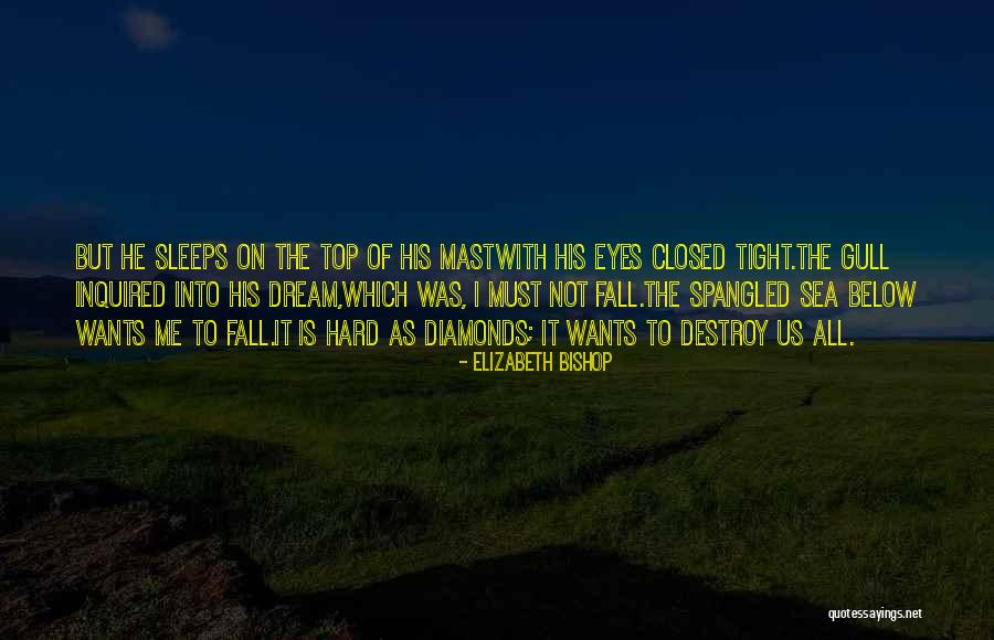 Sea Dream Quotes By Elizabeth Bishop Sea Dream Quotes By Elizabeth Bishop