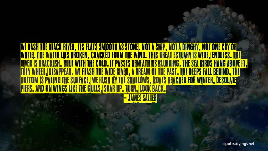 Sea Dream Quotes By James Salter