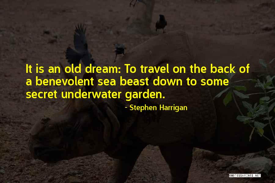 Sea Dream Quotes By Stephen Harrigan Sea Dream Quotes By Stephen Harrigan