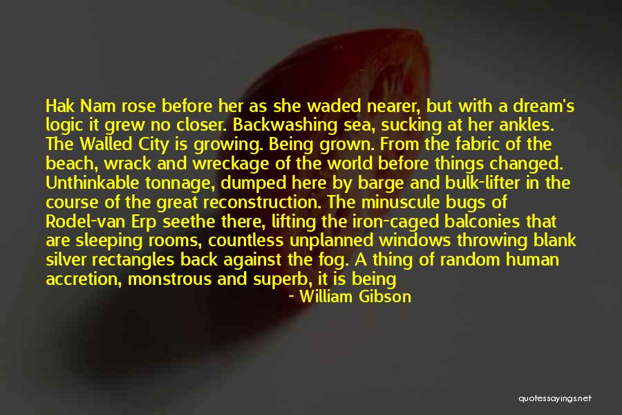 Sea Dream Quotes By William Gibson