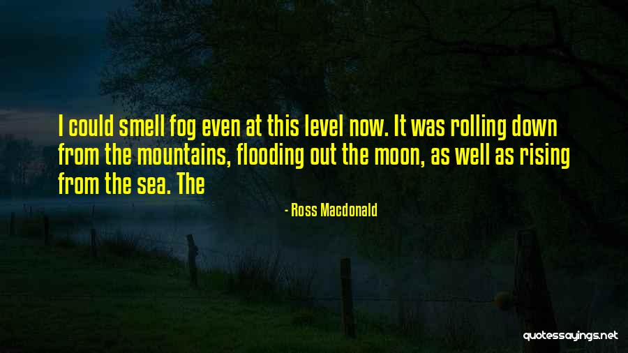 Sea Fog Quotes By Ross Macdonald Sea Fog Quotes By Ross Macdonald