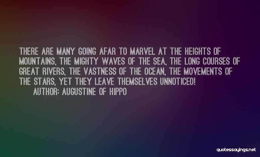 Sea Going Quotes By Augustine Of Hippo