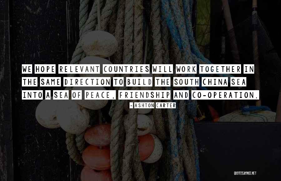 Sea Of Friendship Quotes By Ashton Carter
