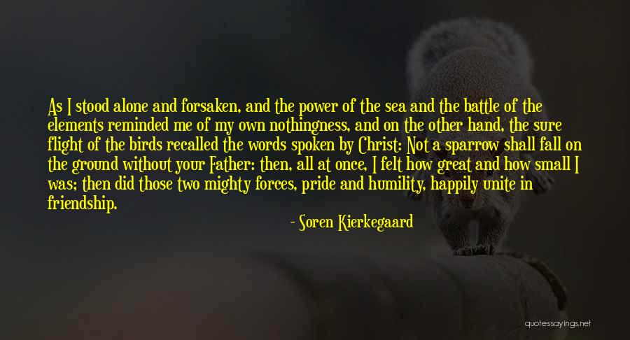 Sea Of Friendship Quotes By Soren Kierkegaard
