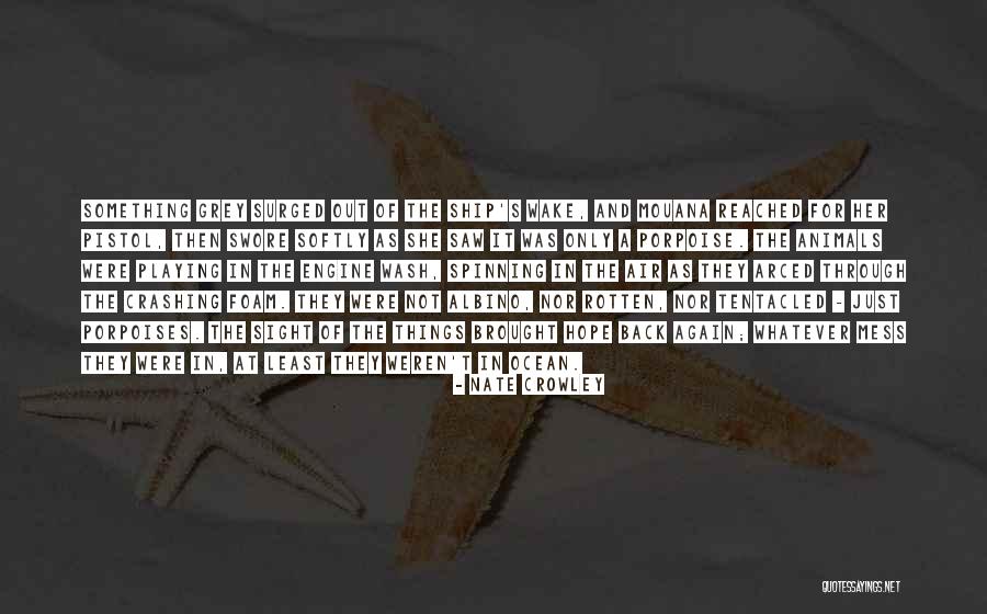 Sea Of Hope Quotes By Nate Crowley Sea Of Hope Quotes By Nate Crowley