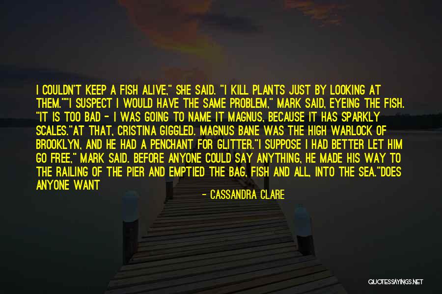 Sea Of Shadows Quotes By Cassandra Clare