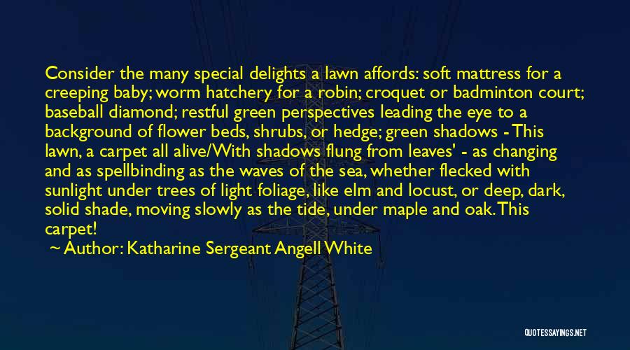 Sea Of Shadows Quotes By Katharine Sergeant Angell White