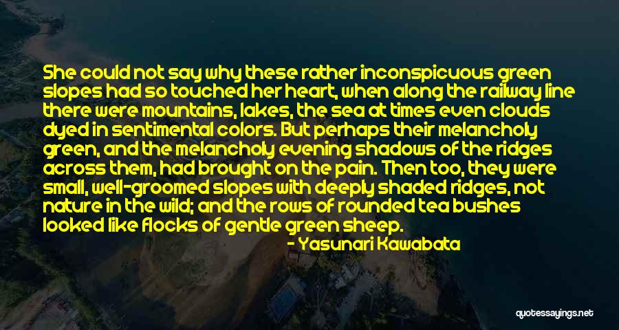 Sea Of Shadows Quotes By Yasunari Kawabata