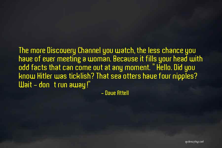 Sea Otters Quotes By Dave Attell Sea Otters Quotes By Dave Attell