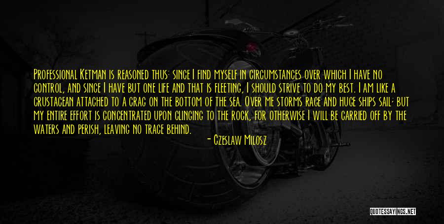 Sea Sail Quotes By Czeslaw Milosz