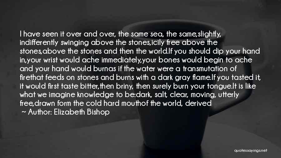 Sea Salt Water Quotes By Elizabeth Bishop