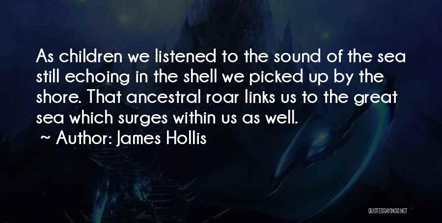 Sea Sound Quotes By James Hollis