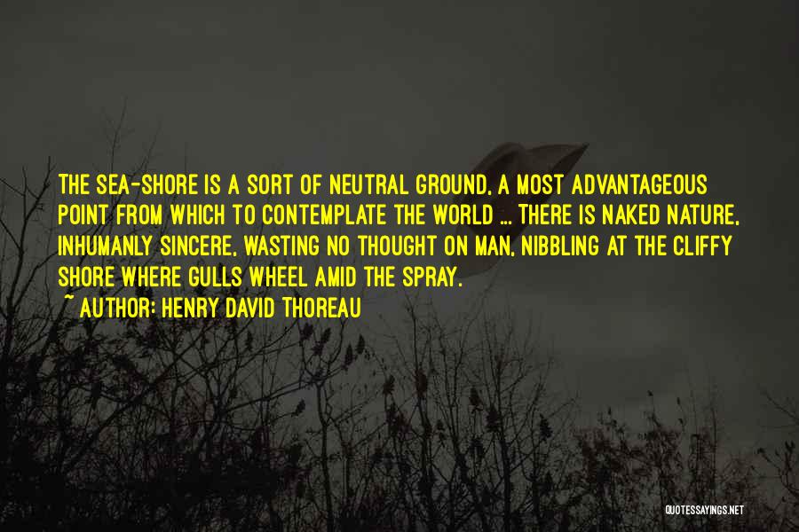 Sea Spray Quotes By Henry David Thoreau