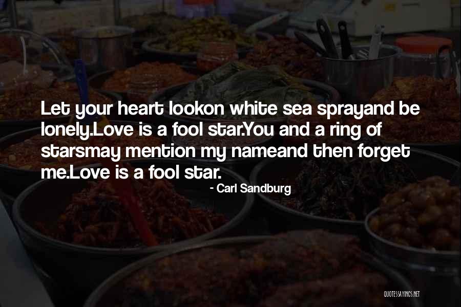 Sea Star Quotes By Carl Sandburg Sea Star Quotes By Carl Sandburg