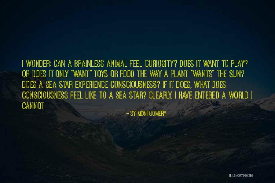 Sea Star Quotes By Sy Montgomery Sea Star Quotes By Sy Montgomery