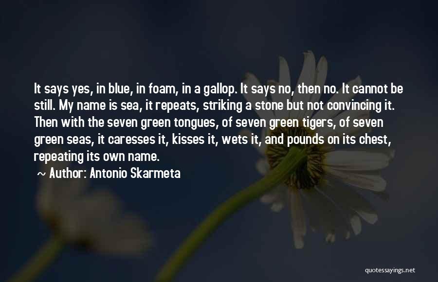 Sea Stone Quotes By Antonio Skarmeta