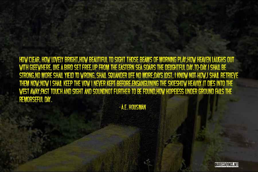 Sea Sunset Quotes By A.E. Housman Sea Sunset Quotes By A.E. Housman