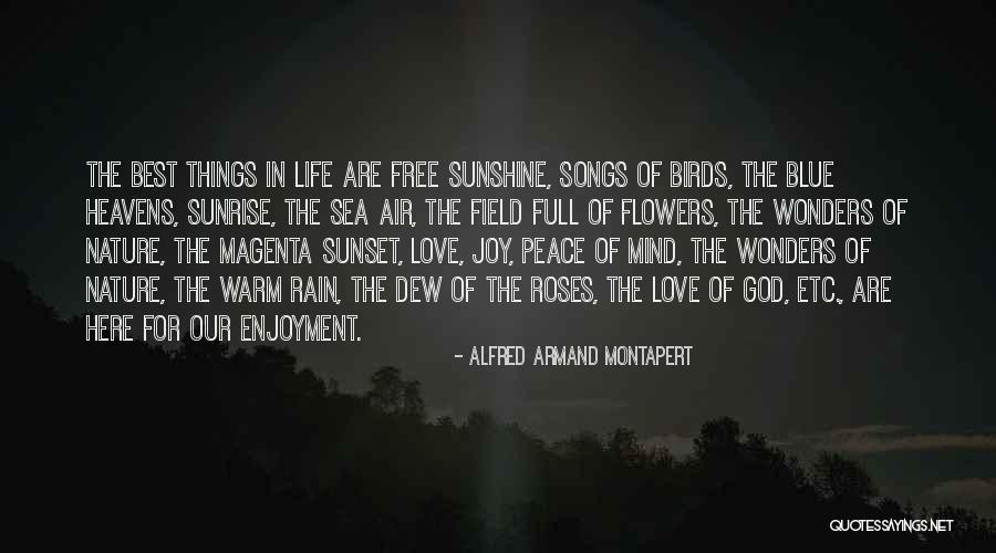 Sea Sunset Quotes By Alfred Armand Montapert