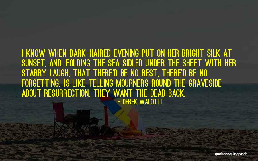 Sea Sunset Quotes By Derek Walcott Sea Sunset Quotes By Derek Walcott