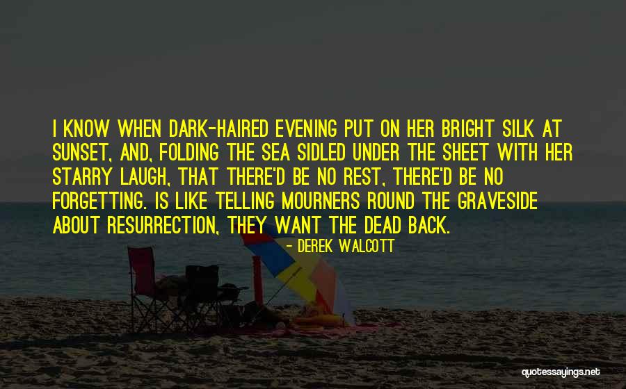 Sea Sunset Quotes By Derek Walcott