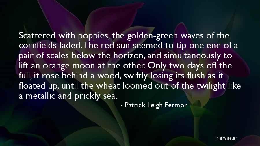 Sea Sunset Quotes By Patrick Leigh Fermor