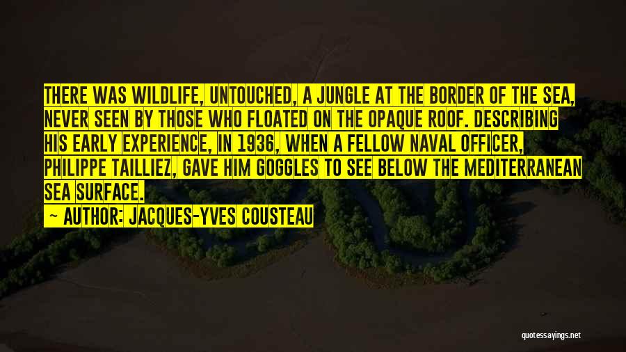 Sea Surface Quotes By Jacques-Yves Cousteau